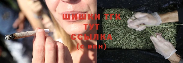 мдпв Няндома