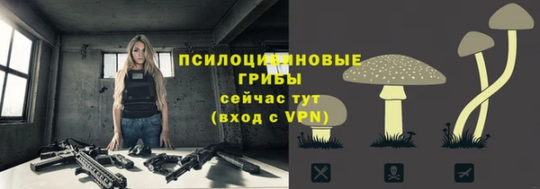 гидропоника Бежецк