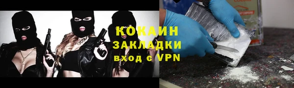 мдпв Няндома