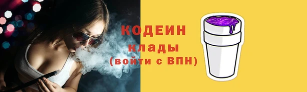 мдпв Няндома