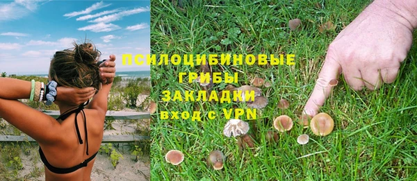 мдпв Няндома