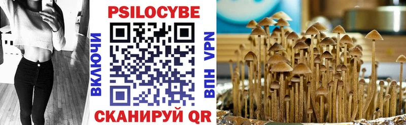 купить Архангельск Псилоцибиновые грибы GOLDEN TEACHER