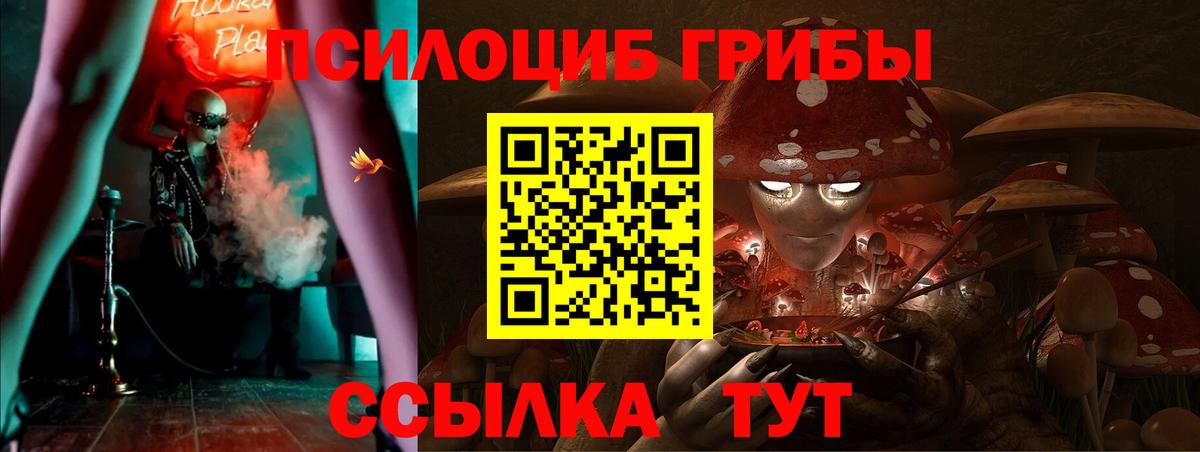 Галлюциногенные грибы Psilocybine cubensis Архангельск
