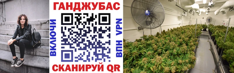 Бошки Шишки OG Kush Архангельск